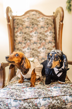 H&Dwedding178