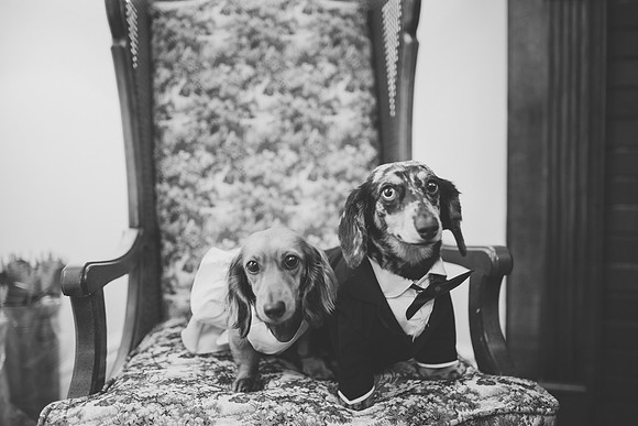 H&Dwedding179BW