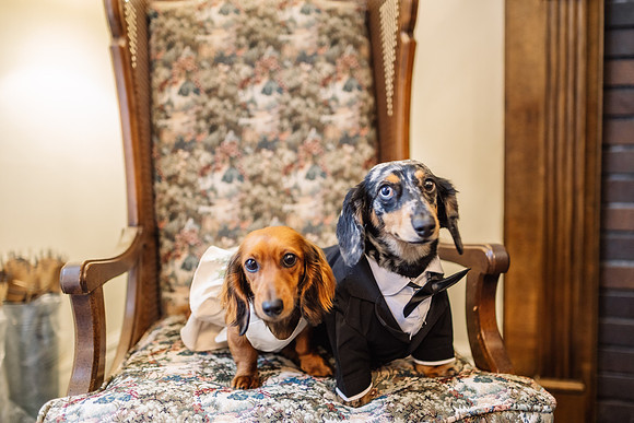H&Dwedding179