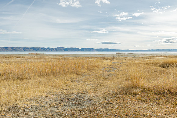 1591 north beach road_D Bingham_50_Print