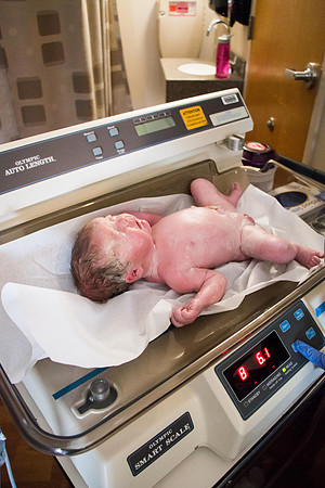 Quinnci's Birth-154