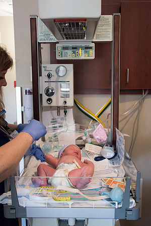 Quinnci's Birth-221