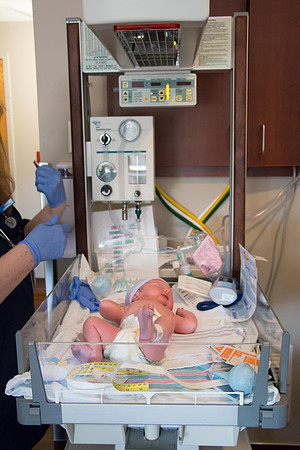 Quinnci's Birth-222