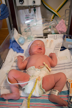 Quinnci's Birth-226