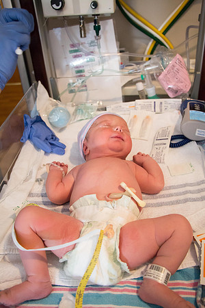 Quinnci's Birth-227