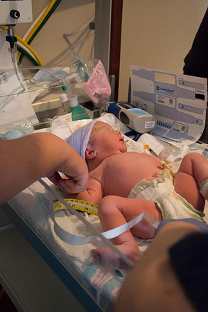 Quinnci's Birth-228