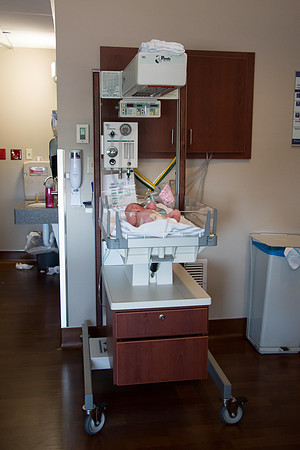 Quinnci's Birth-246