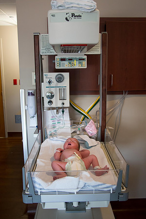 Quinnci's Birth-248