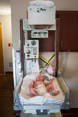 Quinnci's Birth-249