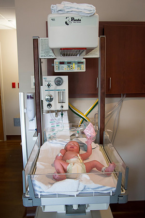 Quinnci's Birth-250