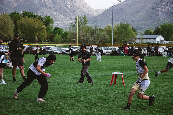 Utah Vice 12U_4-11_16