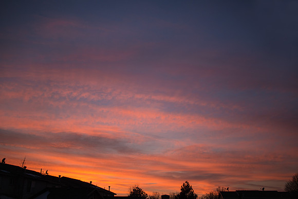 IMG_0606-Edit-Edit