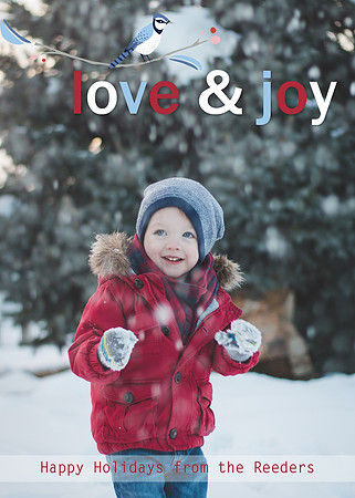Holiday card 2015 2