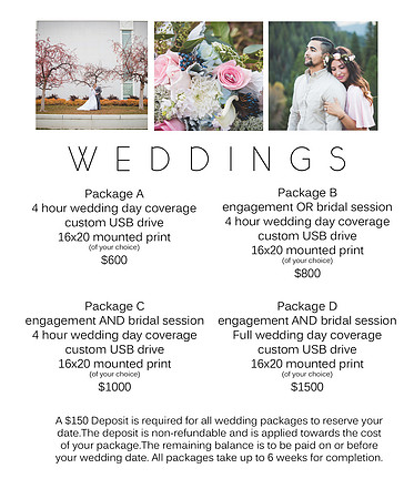 new pricing web weddings