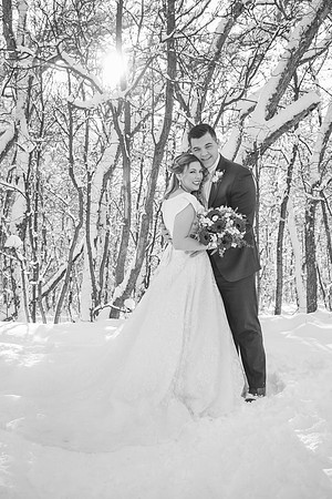 IMG_1654B