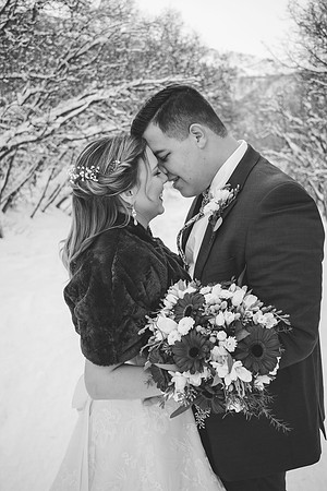IMG_0483B