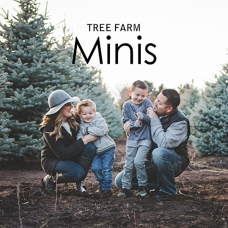 tree farm minis