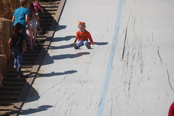 IMG_2419