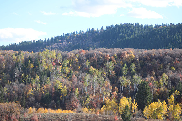 IMG_2528