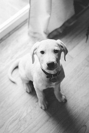 IMG_0073BW
