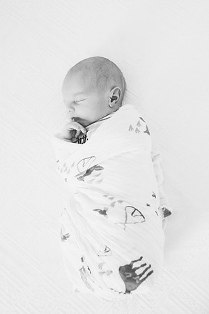 IMG_0028BW