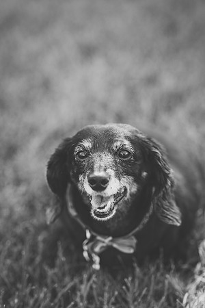 IMG_2428BW