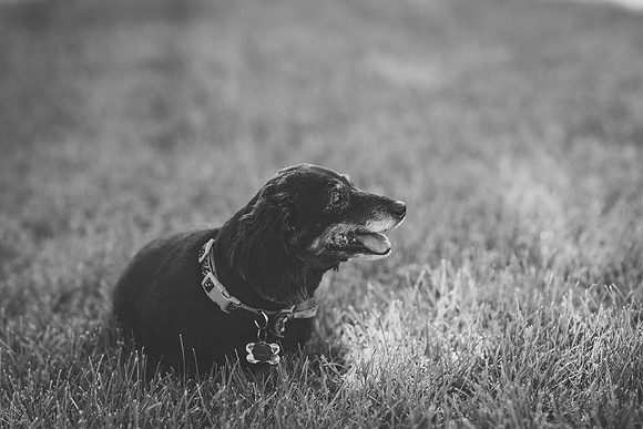 IMG_2412BW