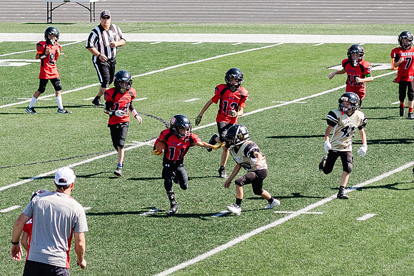 IMG_1455