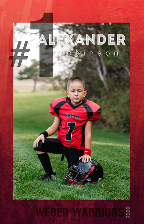player posters Alexander