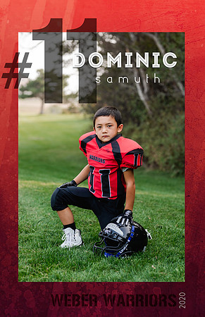 player posters Dominic