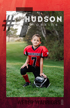 player posters Hudson
