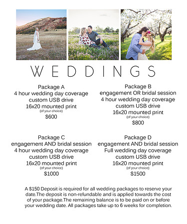 new pricing web weddings