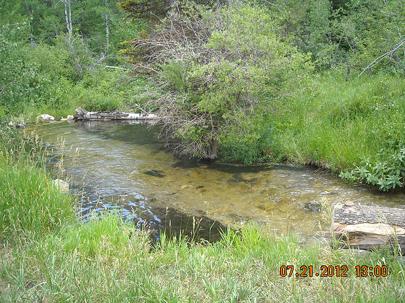 DSCN2229