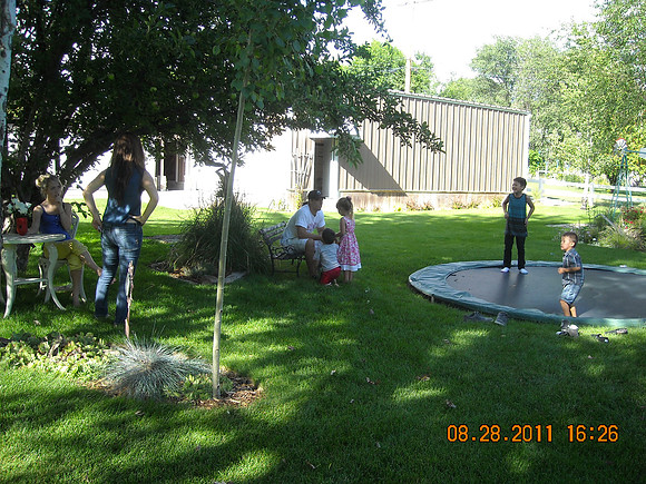 summer fun 1